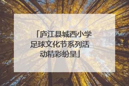 庐江县城西小学足球文化节系列活动精彩纷呈
