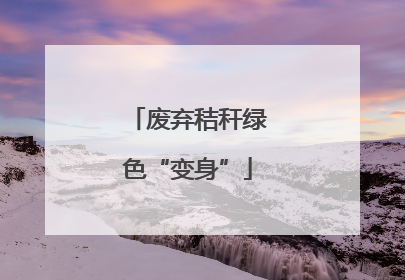 废弃秸秆绿色“变身”