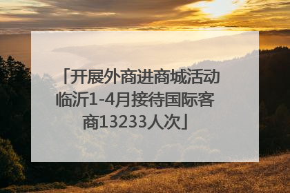 开展外商进商城活动 临沂1-4月接待国际客商13233人次