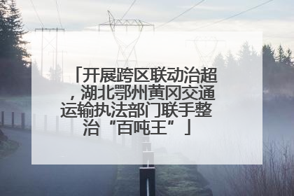 开展跨区联动治超，湖北鄂州黄冈交通运输执法部门联手整治“百吨王”