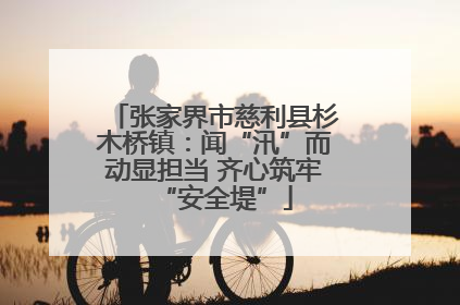 张家界市慈利县杉木桥镇：闻“汛”而动显担当 齐心筑牢“安全堤”