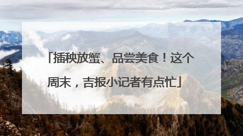 插秧放蟹、品尝美食！这个周末，吉报小记者有点忙