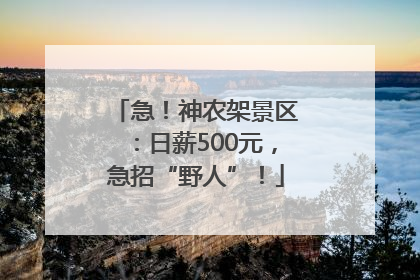 急！神农架景区：日薪500元，急招“野人”！