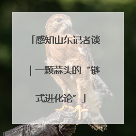 感知山东记者谈｜一颗蒜头的“链式进化论”