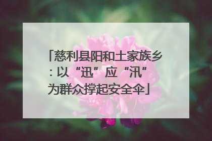 慈利县阳和土家族乡：以“迅”应“汛” 为群众撑起安全伞