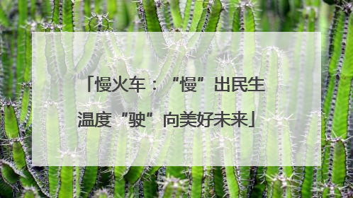 慢火车：“慢”出民生温度“驶”向美好未来