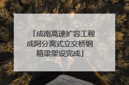 成南高速扩容工程成阿分离式立交桥钢箱梁架设完成