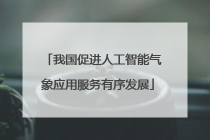 我国促进人工智能气象应用服务有序发展