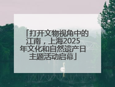 打开文物视角中的江南，上海2025年文化和自然遗产日主题活动启幕