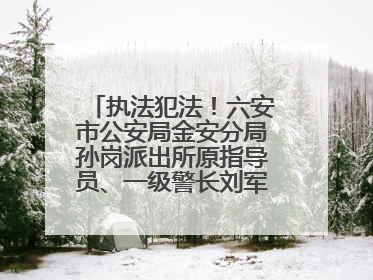 执法犯法！六安市公安局金安分局孙岗派出所原指导员、一级警长刘军被“双开”