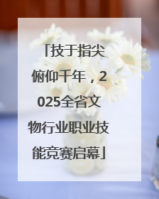 技于指尖 俯仰千年，2025全省文物行业职业技能竞赛启幕