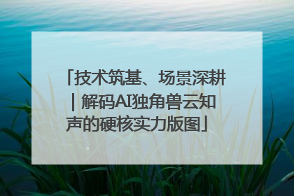 技术筑基、场景深耕｜解码AI独角兽云知声的硬核实力版图