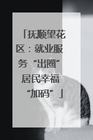 抚顺望花区：就业服务“出圈” 居民幸福“加码”
