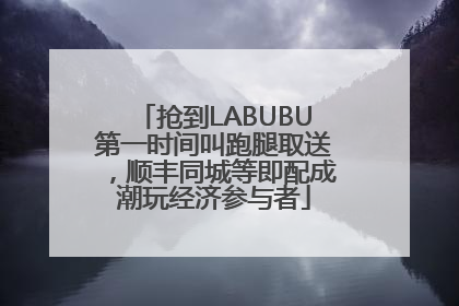 抢到LABUBU第一时间叫跑腿取送，顺丰同城等即配成潮玩经济参与者