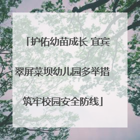 护佑幼苗成长 宜宾翠屏菜坝幼儿园多举措筑牢校园安全防线