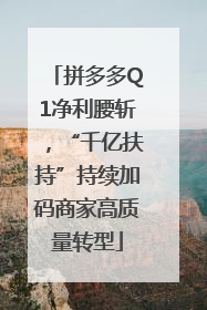 拼多多Q1净利腰斩，“千亿扶持”持续加码商家高质量转型