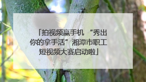 拍视频赢手机 “秀出你的拿手活”湘潭市职工短视频大赛启动啦