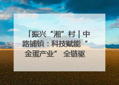 振兴“湘”村｜中路铺镇：科技赋能“金蛋产业” 全链驱动乡村振兴