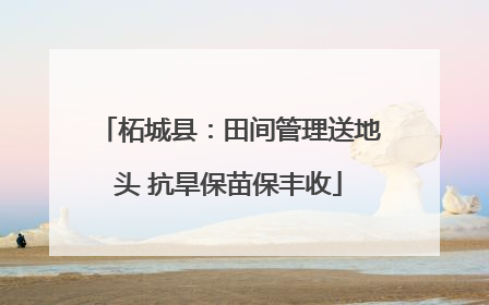 柘城县：田间管理送地头 抗旱保苗保丰收