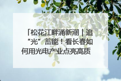 松花江畔涌新潮｜追“光”蓄能！看长春如何用光电产业点亮高质量发展新赛道
