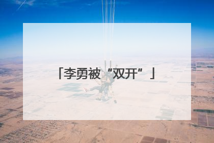 李勇被“双开”