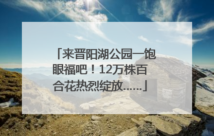 来晋阳湖公园一饱眼福吧！12万株百合花热烈绽放……