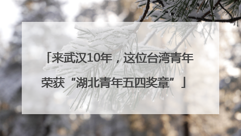 来武汉10年，这位台湾青年荣获“湖北青年五四奖章”