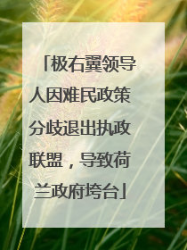 极右翼领导人因难民政策分歧退出执政联盟，导致荷兰政府垮台