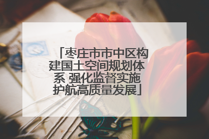枣庄市市中区构建国土空间规划体系 强化监督实施护航高质量发展