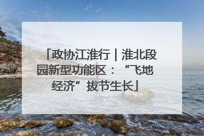 政协江淮行｜淮北段园新型功能区：“飞地经济”拔节生长