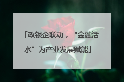 政银企联动，“金融活水”为产业发展赋能