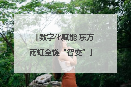 数字化赋能 东方雨虹全链“智变”