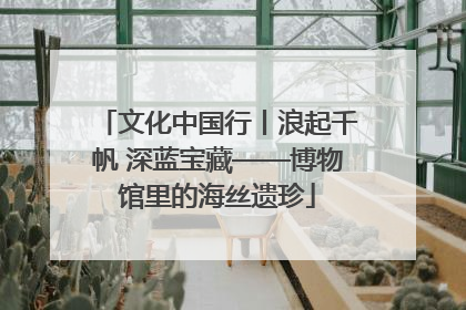 文化中国行丨浪起千帆 深蓝宝藏——博物馆里的海丝遗珍