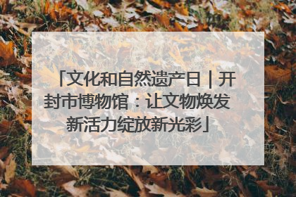 文化和自然遗产日｜开封市博物馆：让文物焕发新活力绽放新光彩
