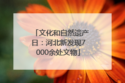 文化和自然遗产日：河北新发现7000余处文物