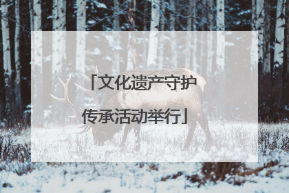 文化遗产守护传承活动举行