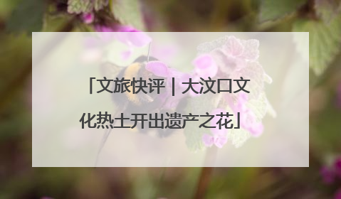 文旅快评｜大汶口文化热土开出遗产之花
