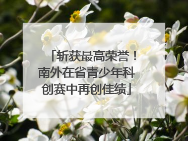 斩获最高荣誉！南外在省青少年科创赛中再创佳绩