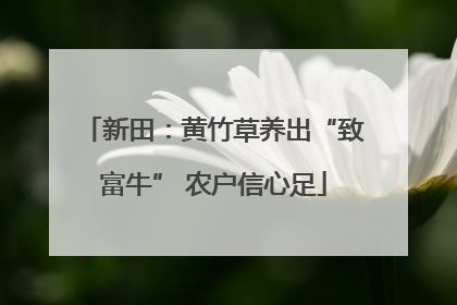 新田：黄竹草养出“致富牛” 农户信心足
