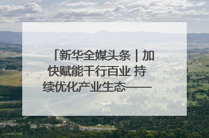 新华全媒头条｜加快赋能千行百业 持续优化产业生态——浙江推动人工智能健康有序发展观察