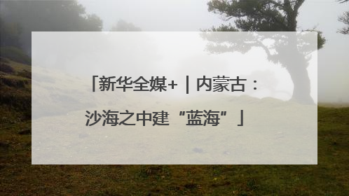 新华全媒+｜内蒙古：沙海之中建“蓝海”