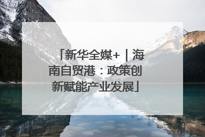 新华全媒+｜海南自贸港：政策创新赋能产业发展