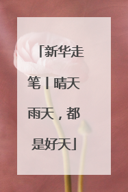 新华走笔丨晴天雨天，都是好天