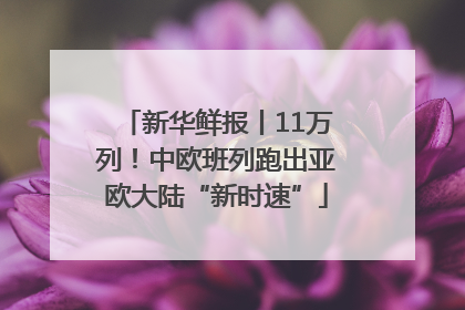 新华鲜报丨11万列！中欧班列跑出亚欧大陆“新时速”