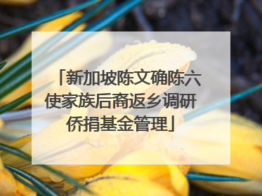 新加坡陈文确陈六使家族后裔返乡调研侨捐基金管理