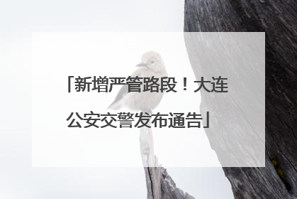 新增严管路段！大连公安交警发布通告