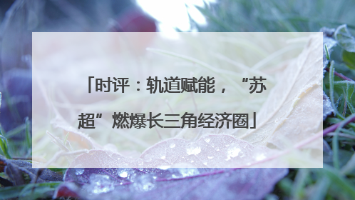 时评：轨道赋能，“苏超”燃爆长三角经济圈