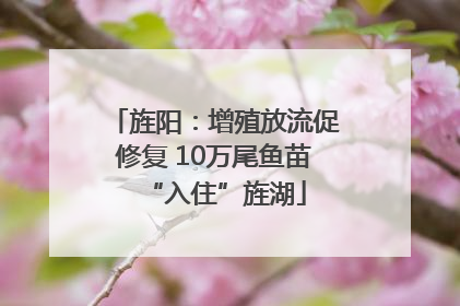 旌阳：增殖放流促修复 10万尾鱼苗“入住”旌湖