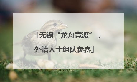无锡“龙舟竞渡”，外籍人士组队参赛