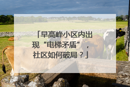 早高峰小区内出现“电梯矛盾”，社区如何破局？